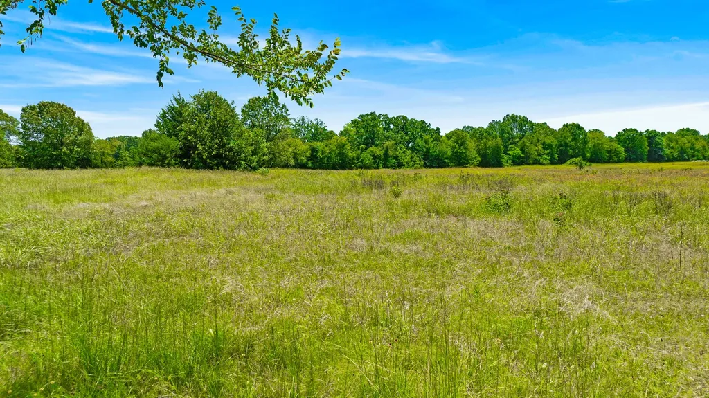 37 County Road 34710 Paris TX 75460