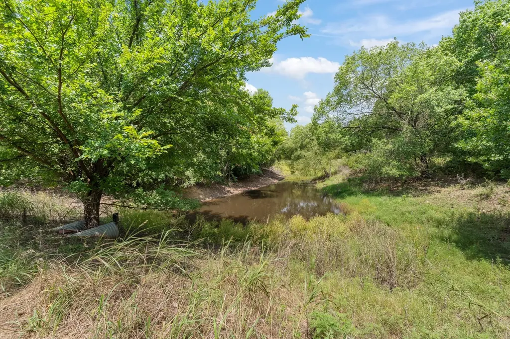 1127 Mallard Lane Glen Rose TX 76043
