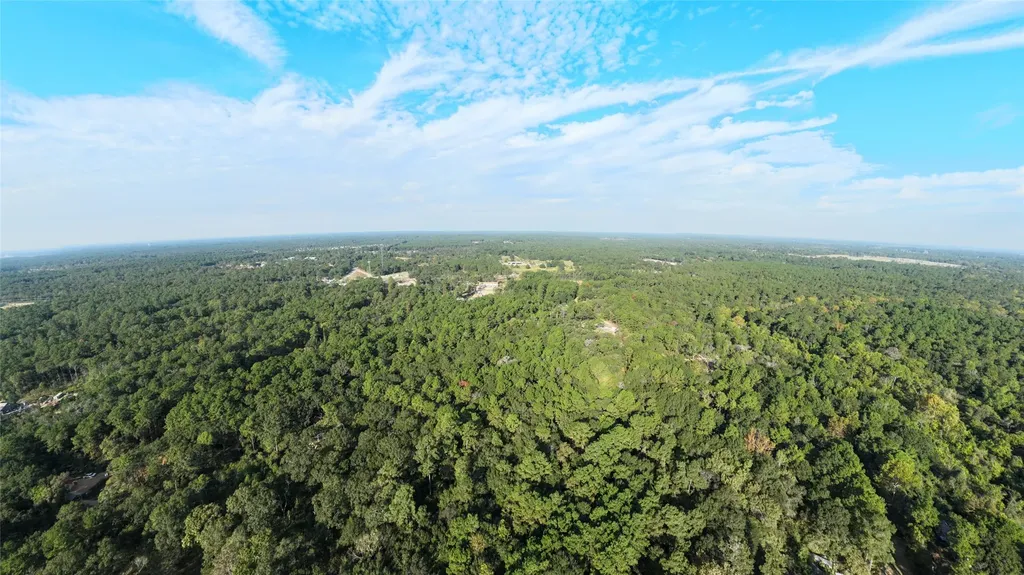 Tbd Whispering Pines Lane Plantersville TX 77363