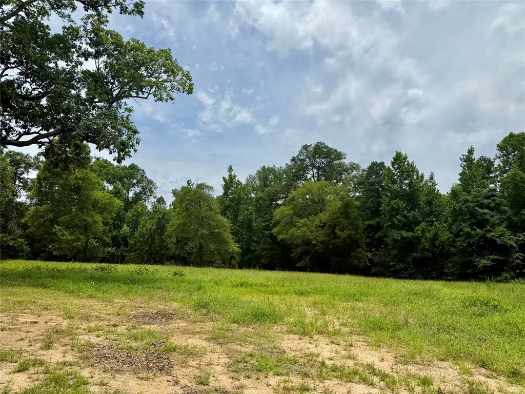 257 Bacle Road Coushatta LA 71019