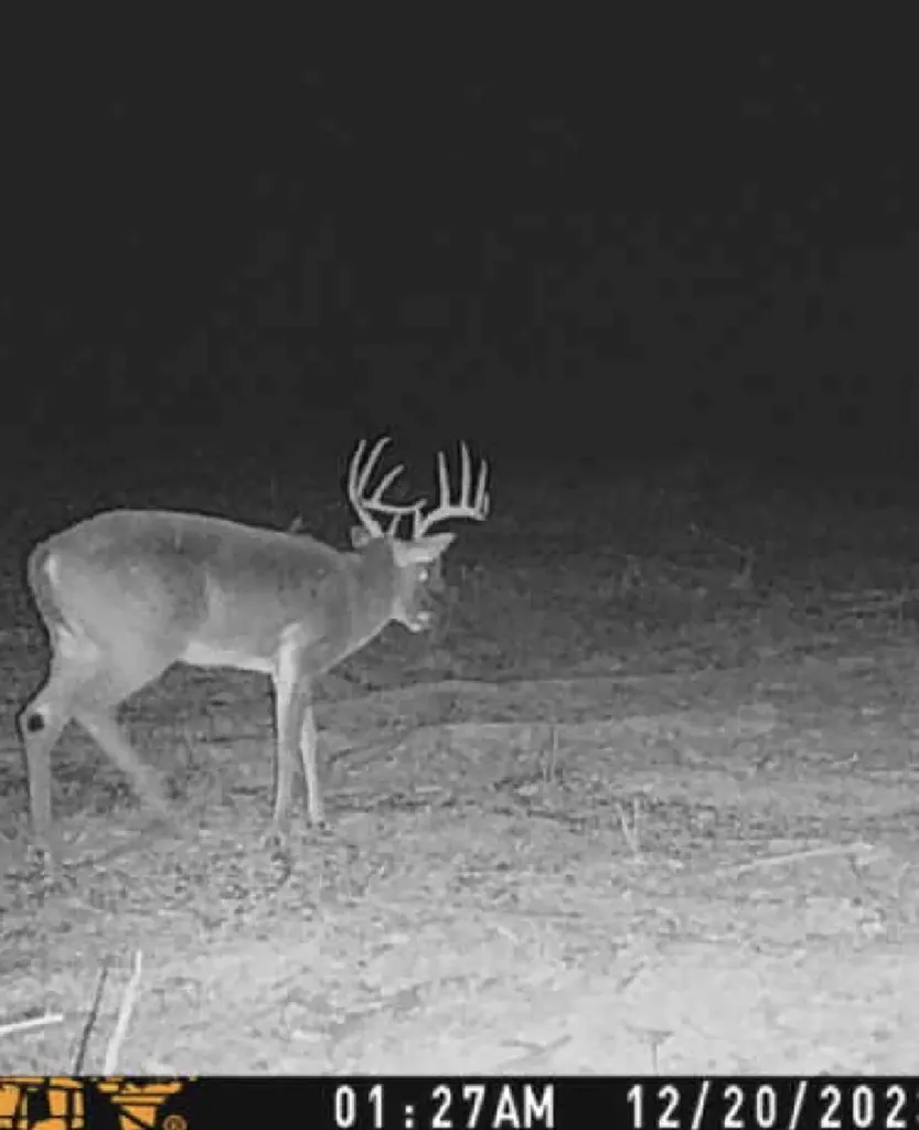 000 Hwy 37 N Clarksville TX 75426