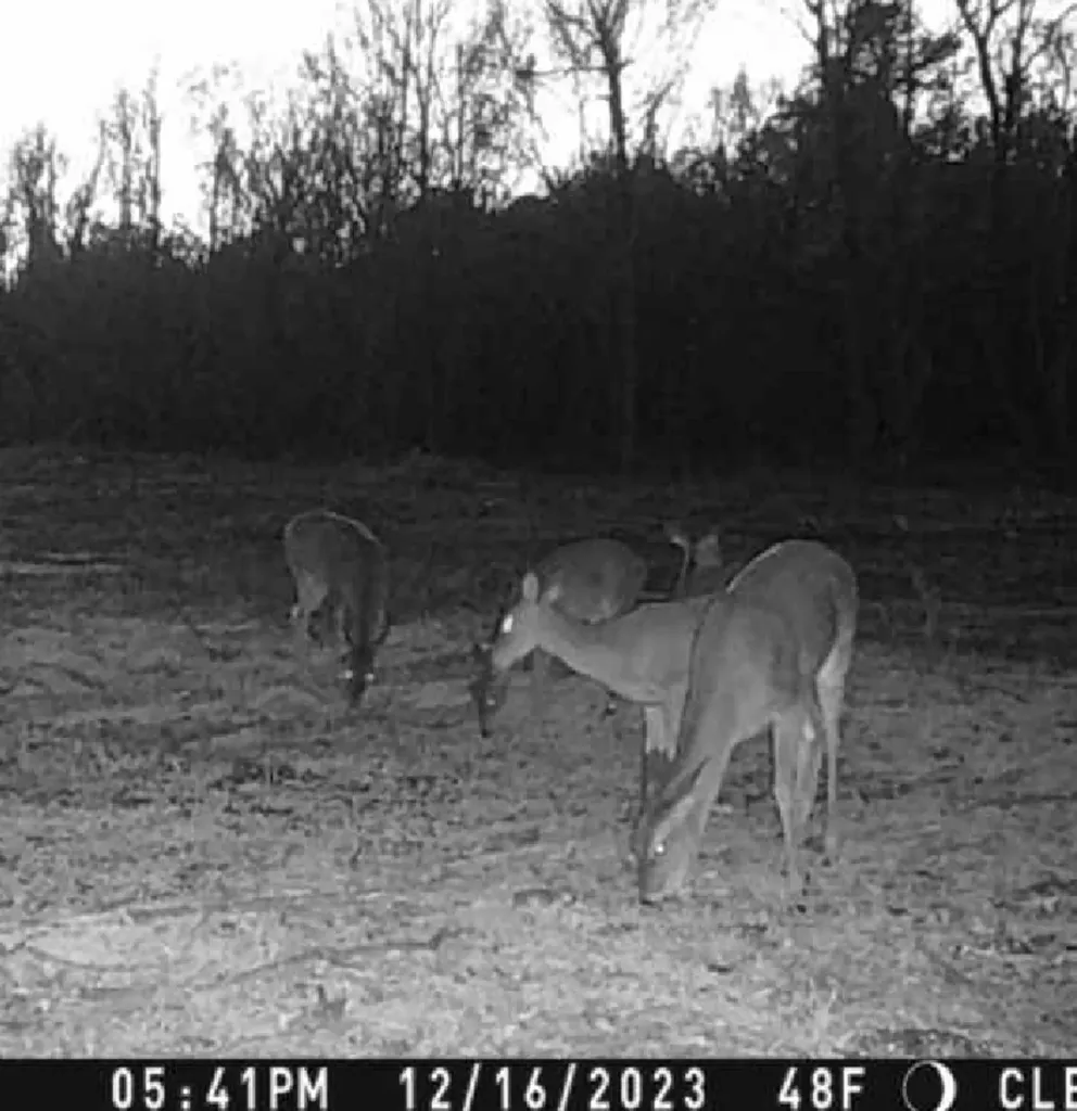 000 Hwy 37 N Clarksville TX 75426