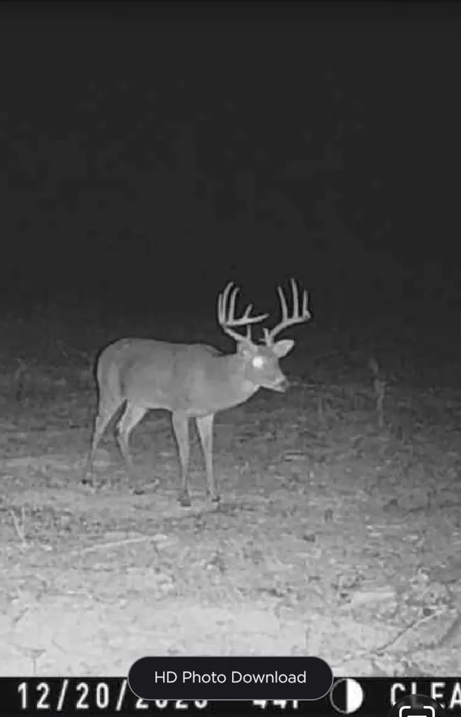 000 Hwy 37 N Clarksville TX 75426