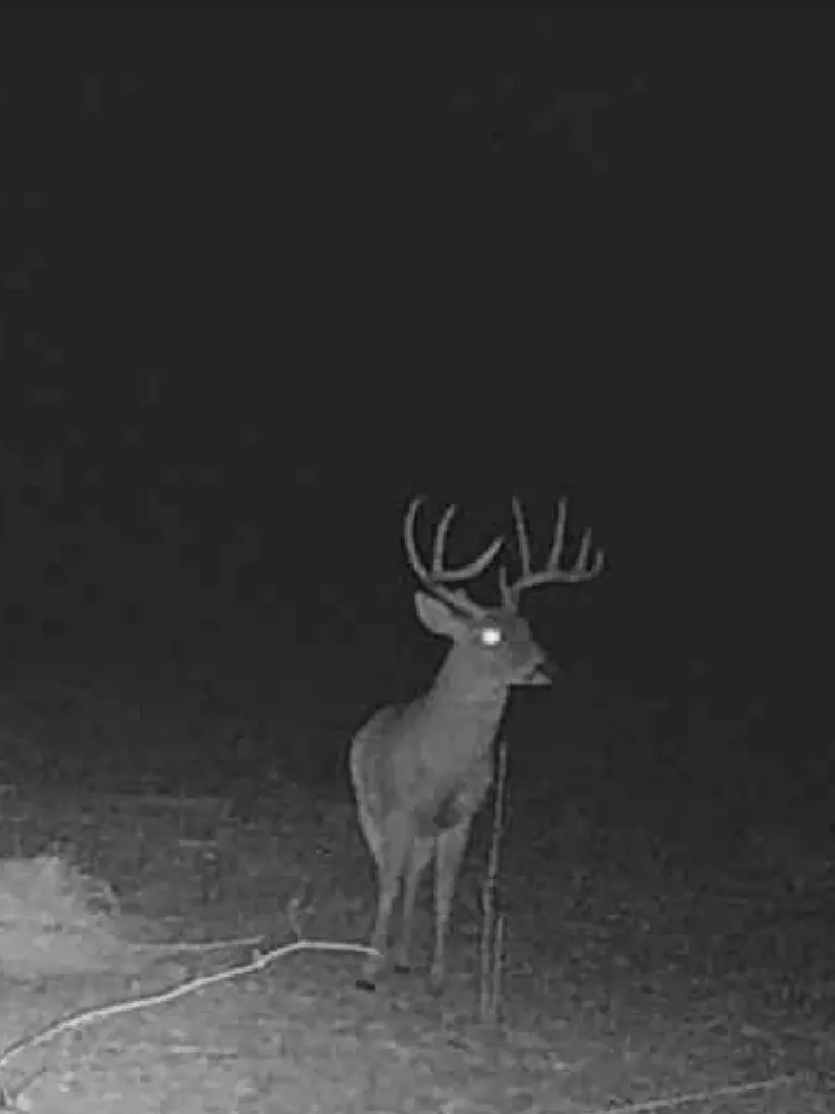 000 Hwy 37 N Clarksville TX 75426