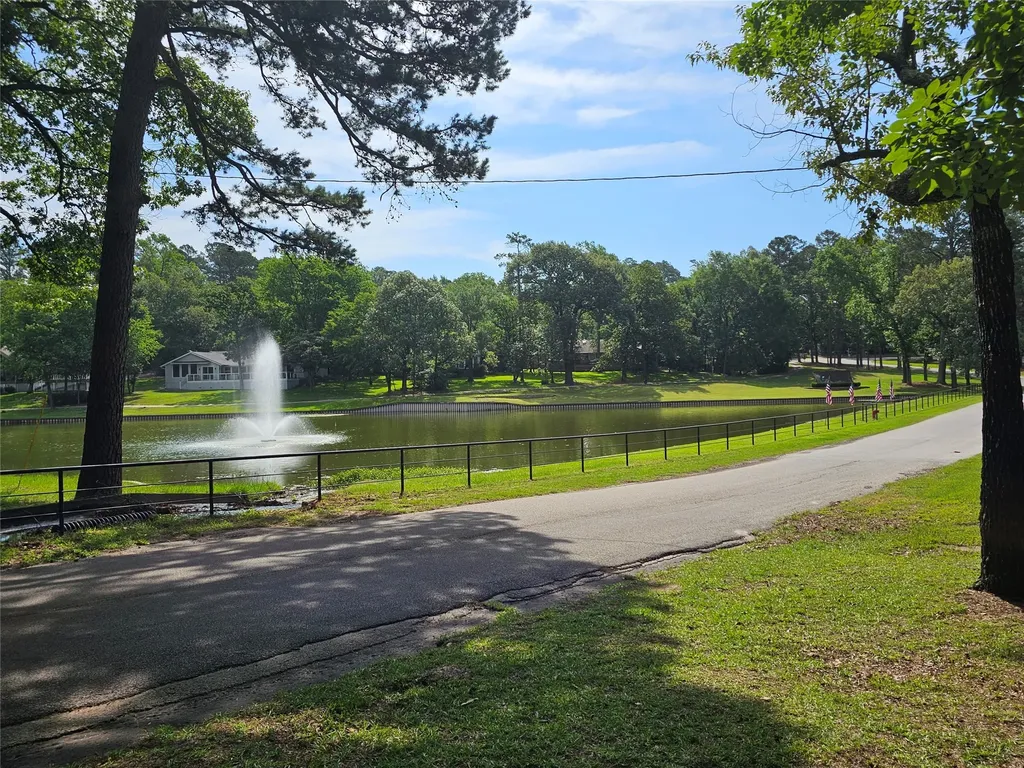 411 Green Meadow Trail Holly Lake Ranch TX 75765