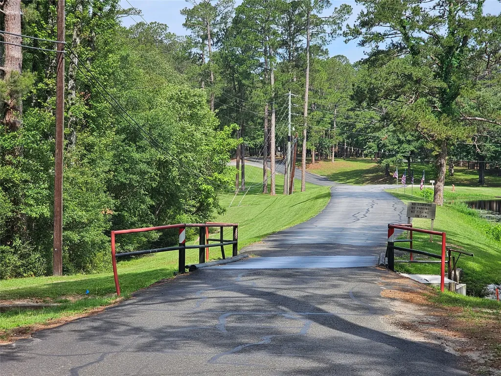 411 Green Meadow Trail Holly Lake Ranch TX 75765