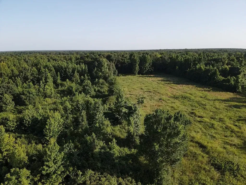 13903 Farm Road 906 E Paris TX 75462