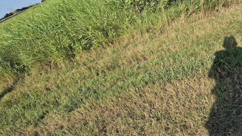 691 Farmer Road Ennis TX 75119