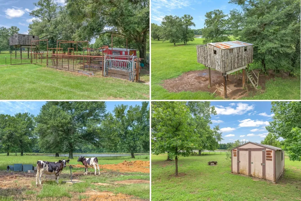 543 County Road 1170 Sulphur Springs TX 75482