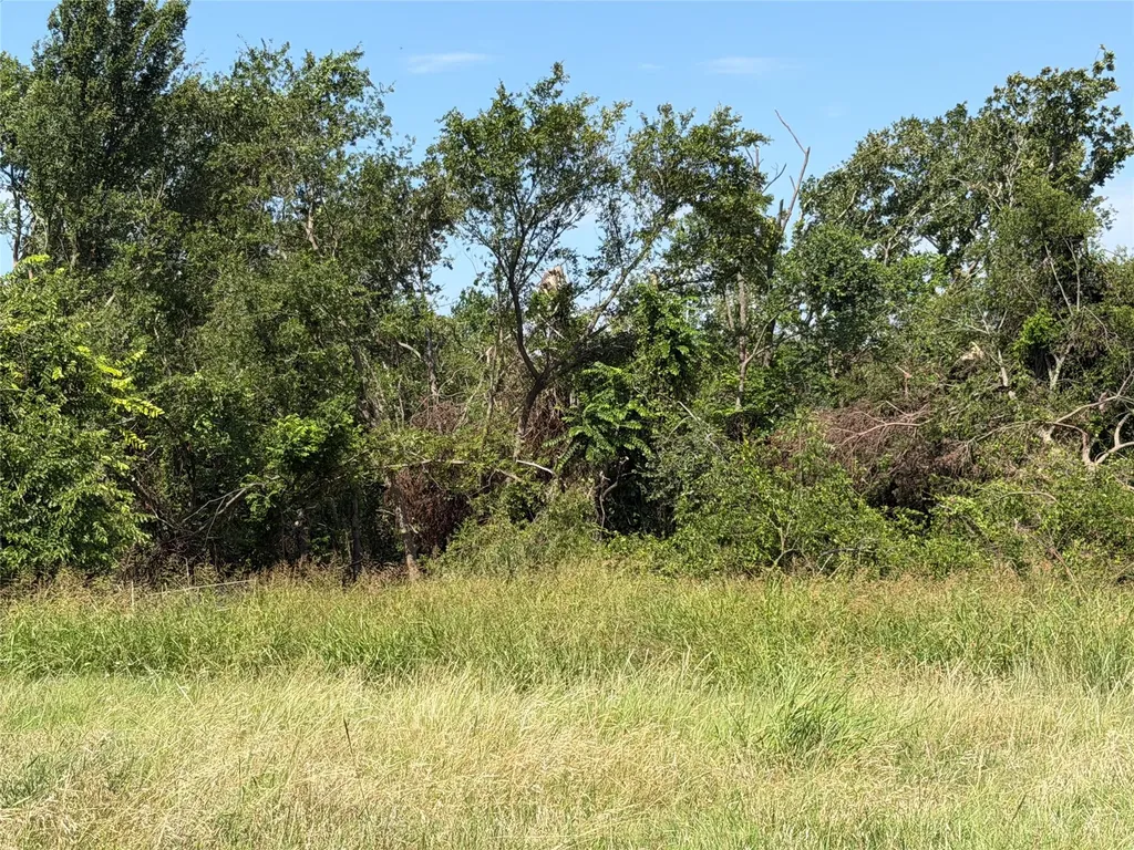 164 Private Road 3712 Paradise TX 76073