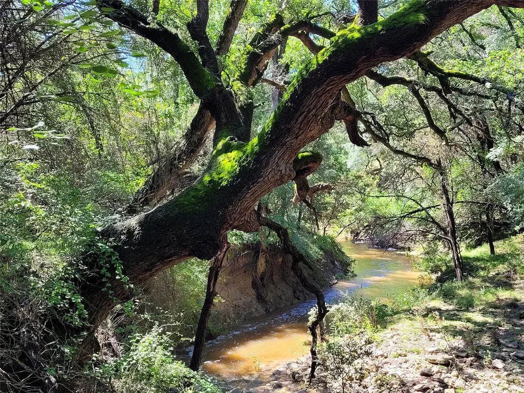 Tbd County Road 1139 575 Acres Lampasas TX 76550