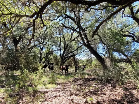 Tbd County Road 1139 575 Acres Lampasas TX 76550