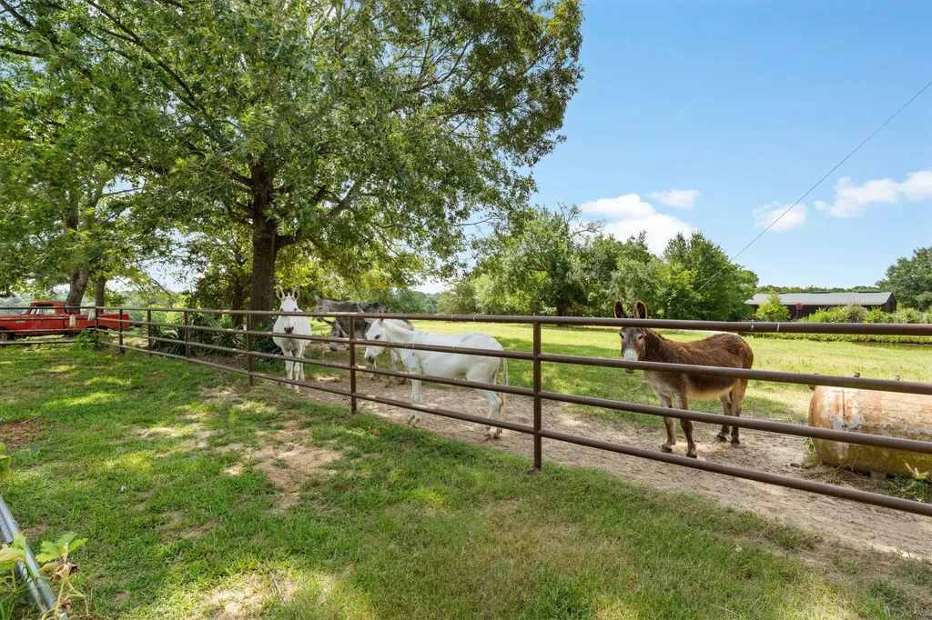 13494 County Road 2919 Eustace TX 75124