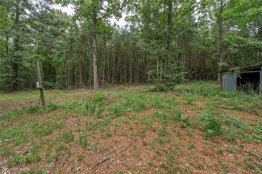 175 Magnolia Road Dubberly LA 71024