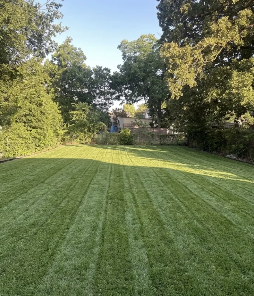 2012 Park Avenue Waco TX 76706