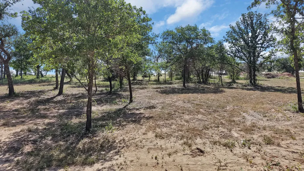 9855 S Us Highway 377 Dublin TX 76446