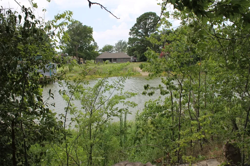 312 Lazy Cane Ranch Road Trinidad TX 75163