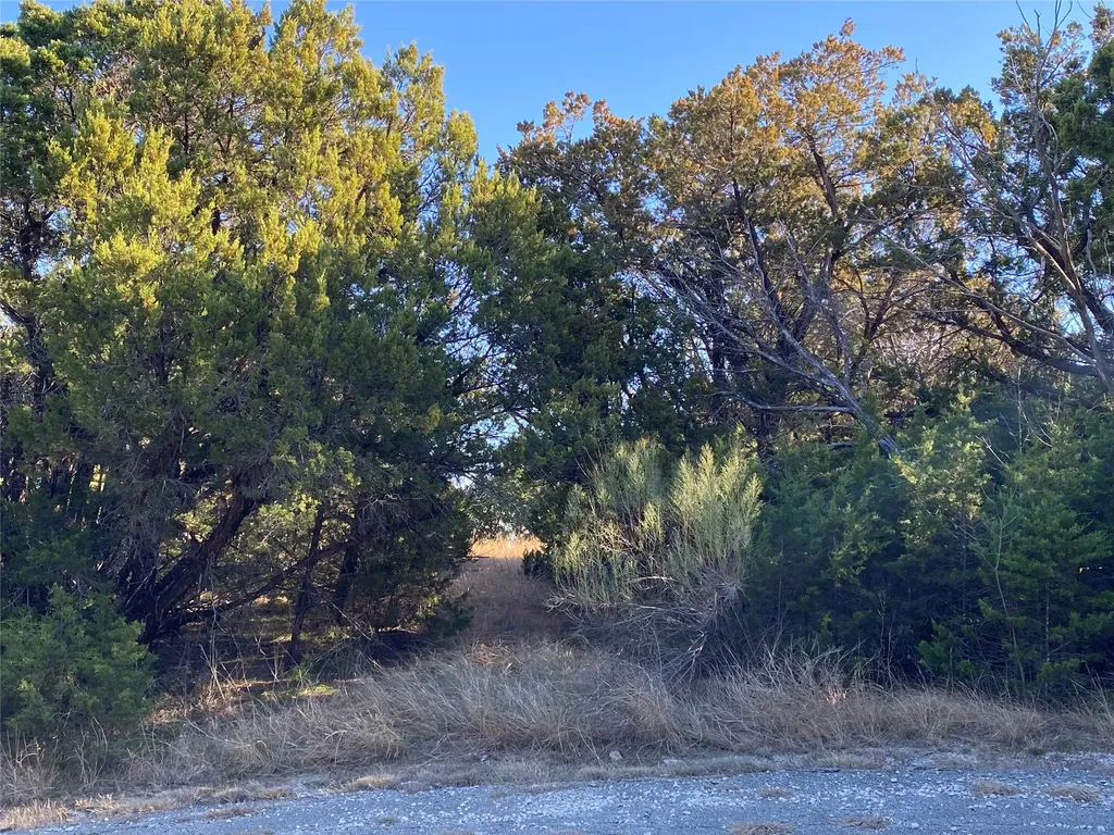 1270 Plateau Place Graford TX 76449