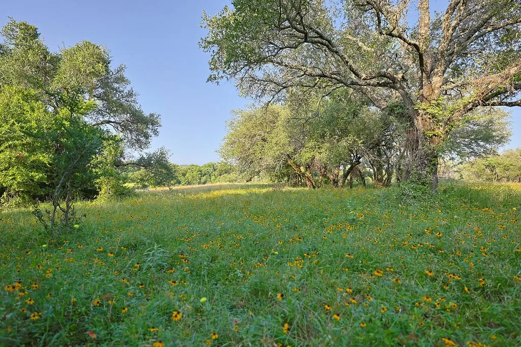 15 Waterwood Loop Mineral Wells TX 76067