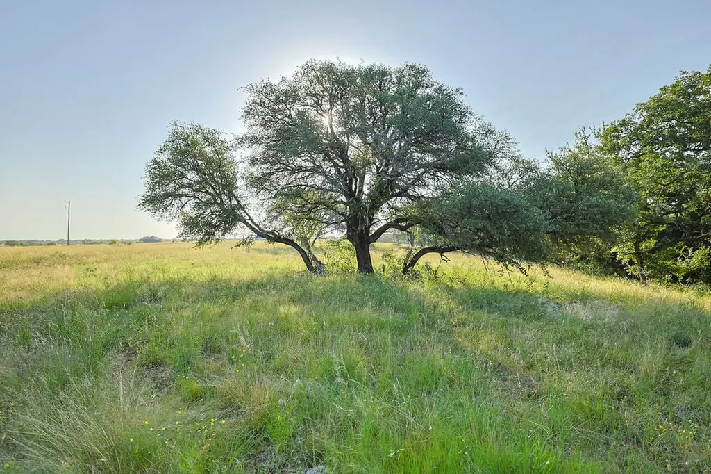 15 Waterwood Loop Mineral Wells TX 76067