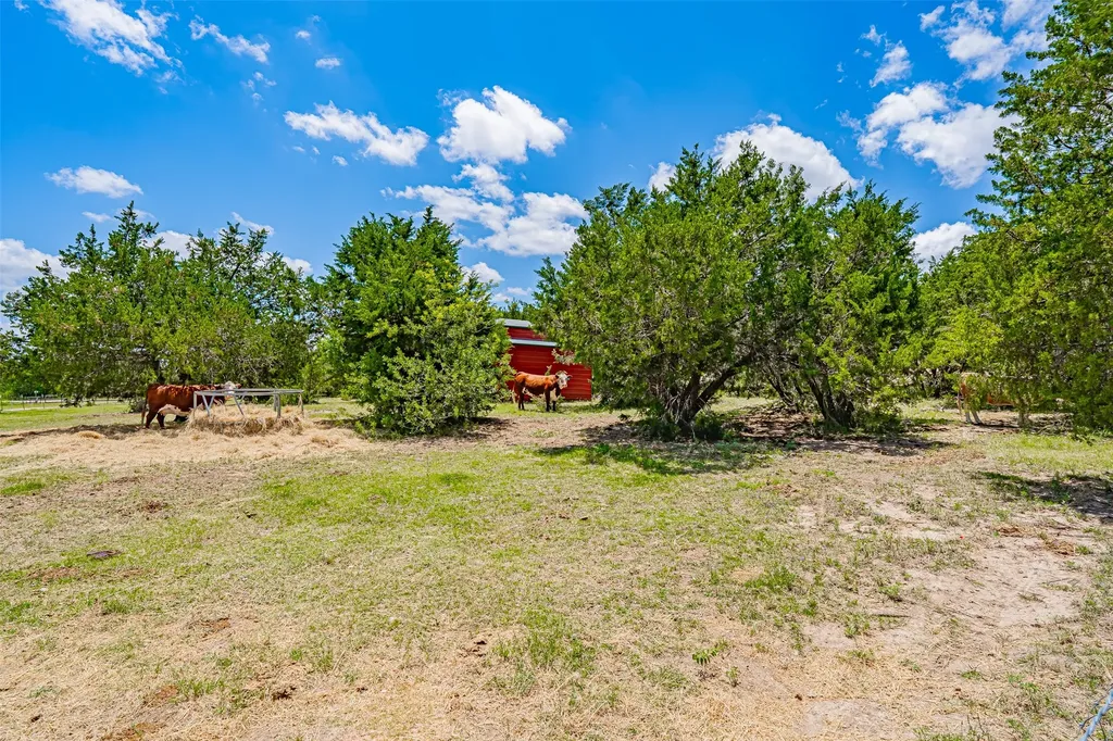 7744 Wd Court Lipan TX 76462