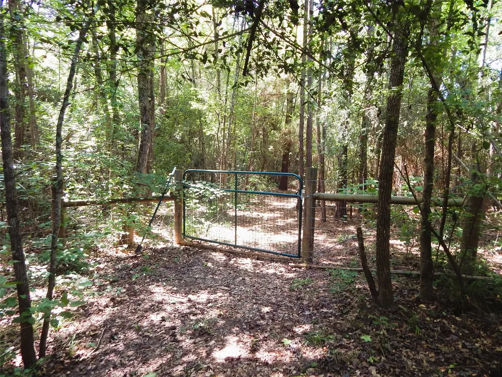 8909 Fm 1795 Big Sandy TX 75755