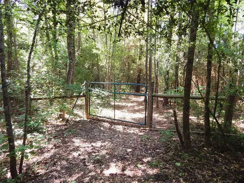 8909 Fm 1795 Big Sandy TX 75755
