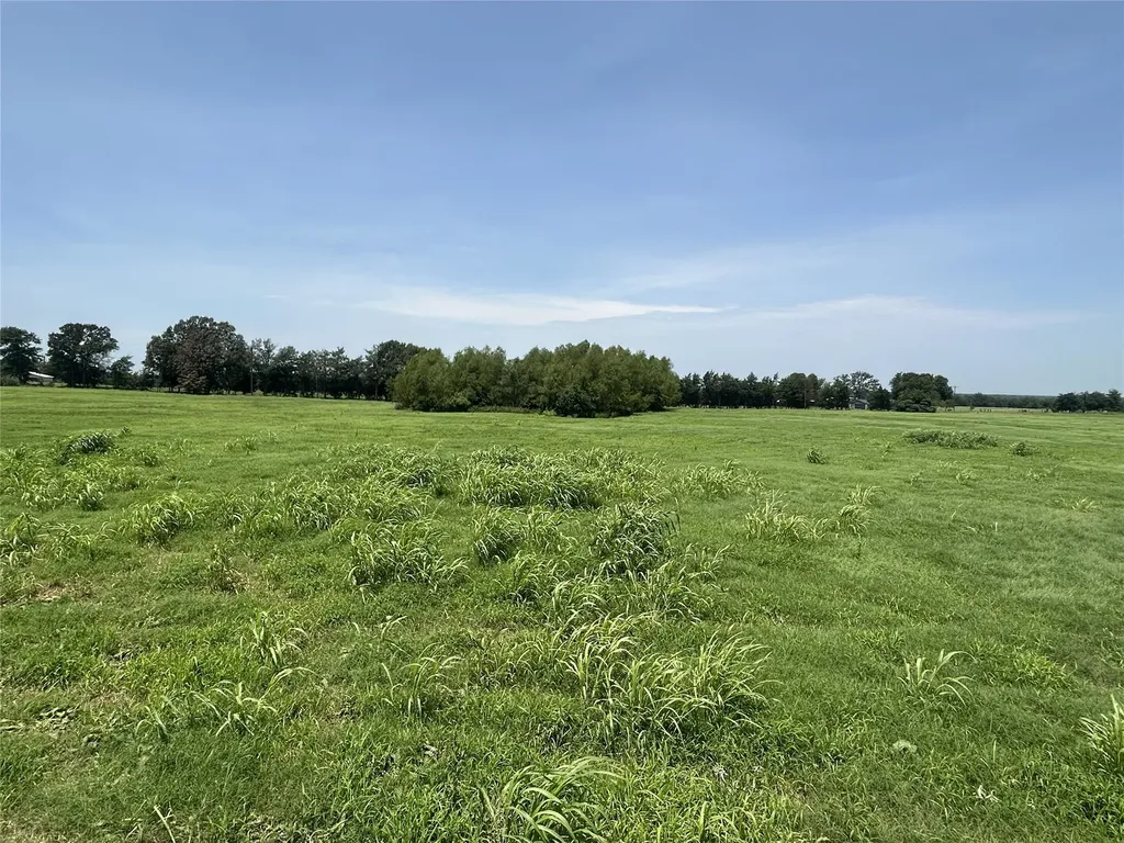 Lot 2 Cr 358 Fm 900 Saltillo TX 75478