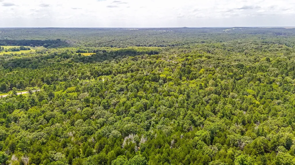 Tbd Fm 489 E Fairfield TX 75840