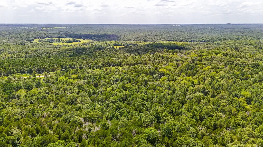 Tbd Fm 489 E Fairfield TX 75840