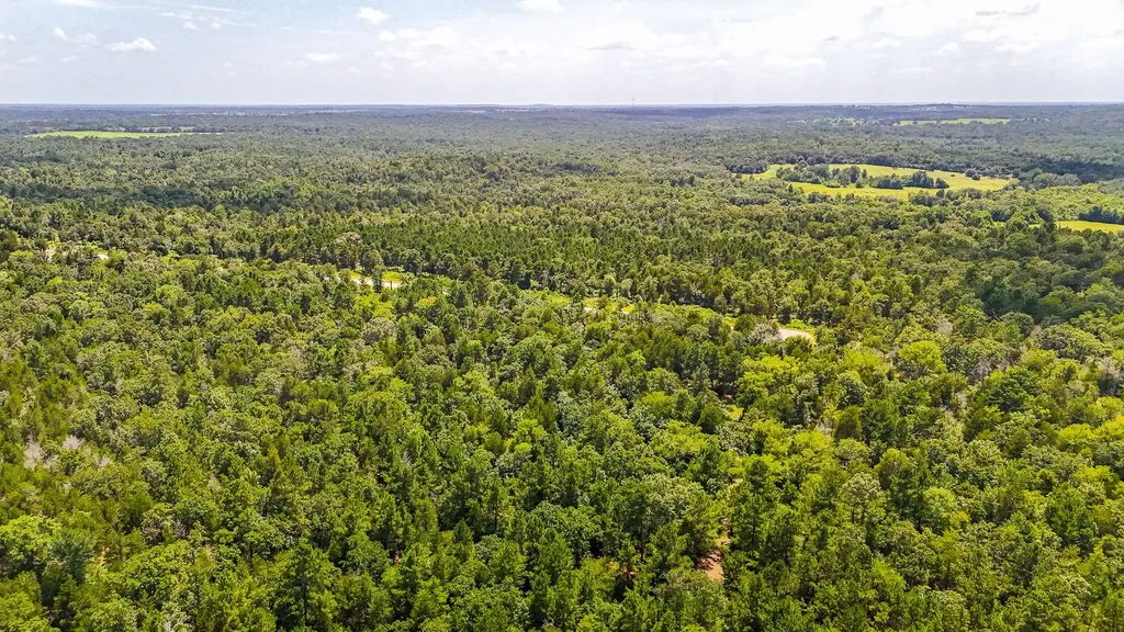 Tbd Fm 489 E Fairfield TX 75840