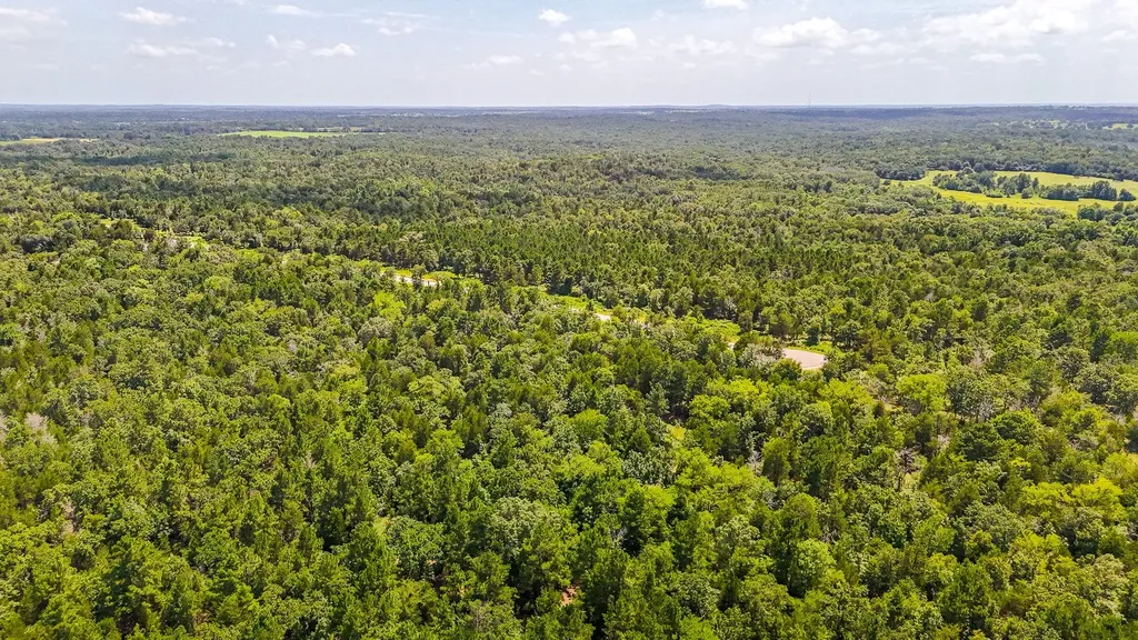 Tbd Fm 489 E Fairfield TX 75840