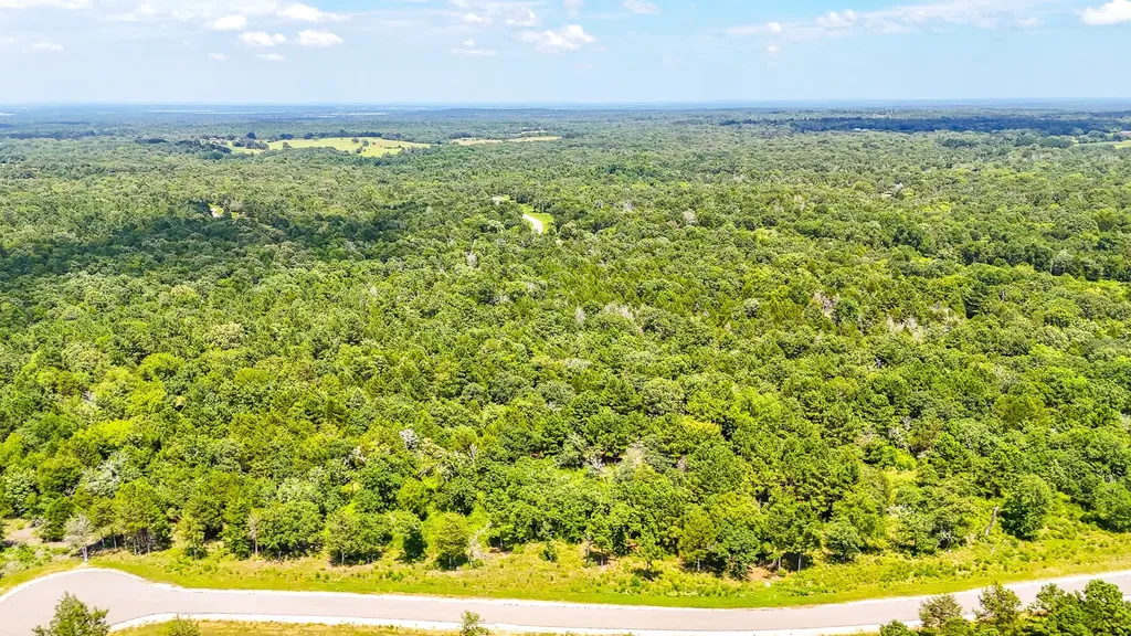 Tbd Fm 489 E Fairfield TX 75840