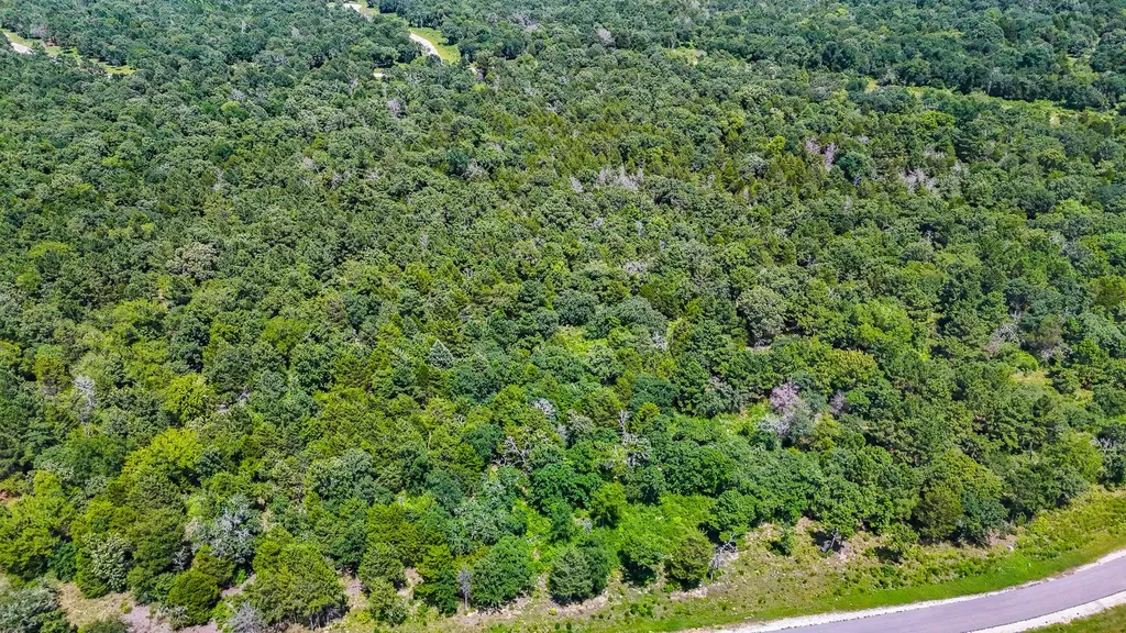 Tbd Fm 489 E Fairfield TX 75840