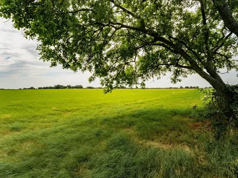 207 Cr-1750 Chico TX 76431