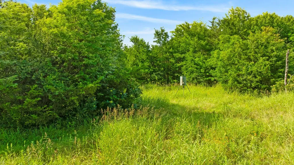 1101 County Road 2810 Honey Grove TX 75446