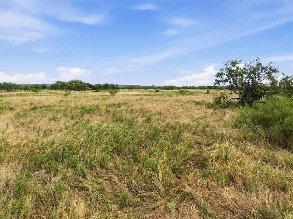 Tbd State Highway 16 Strawn TX 76475