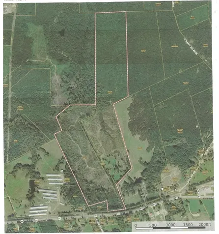 589 Us Highway 84 E Tenaha TX 75974