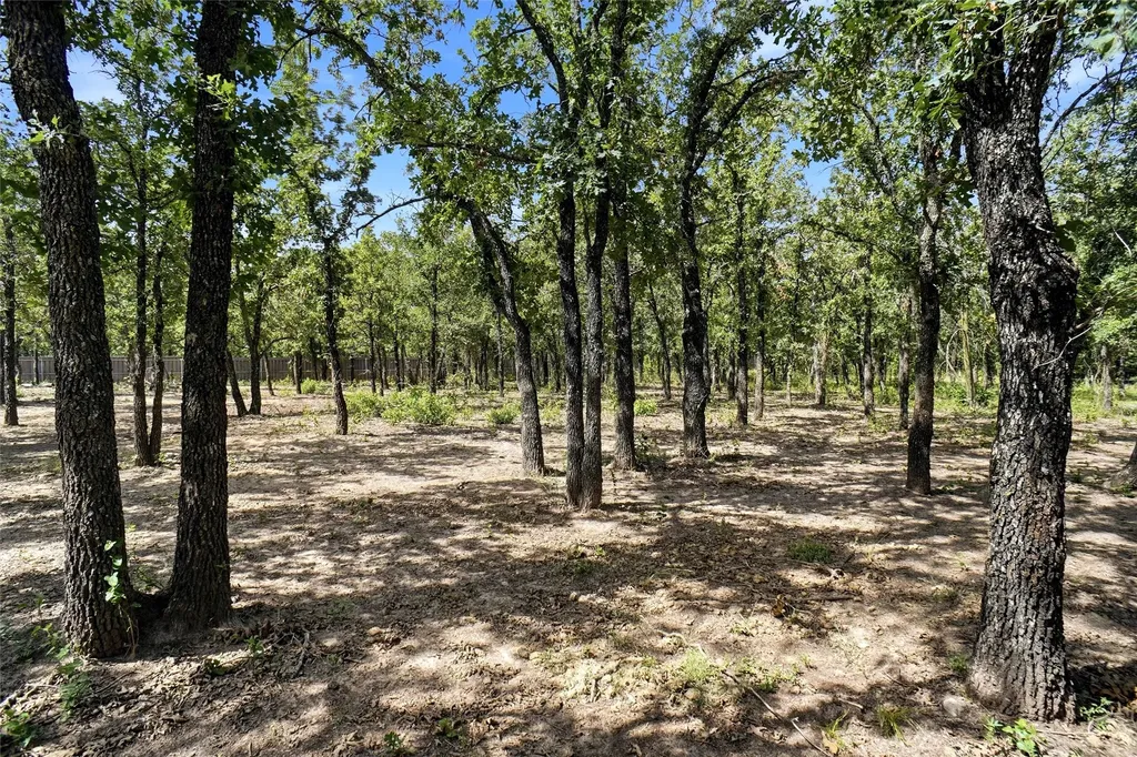211 Spring Valley Road Paradise TX 76073