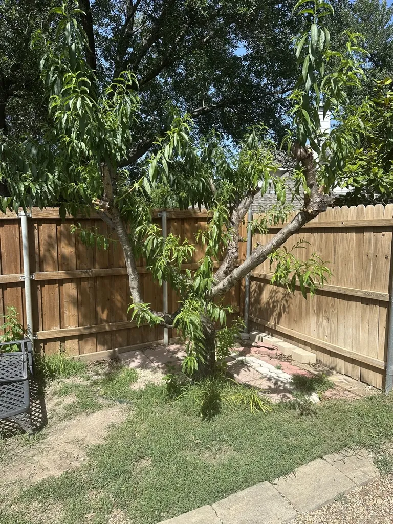 1804 Canyon Wren Drive Mckinney TX 75071