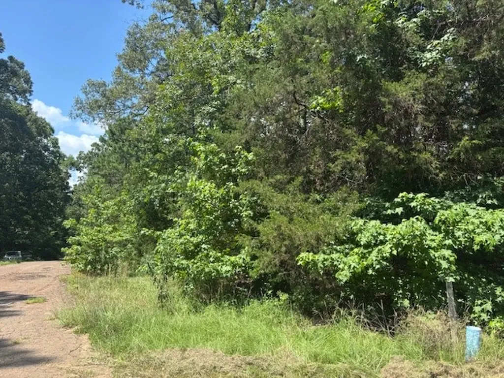 Tbd Croton Lane Mount Vernon TX 75457
