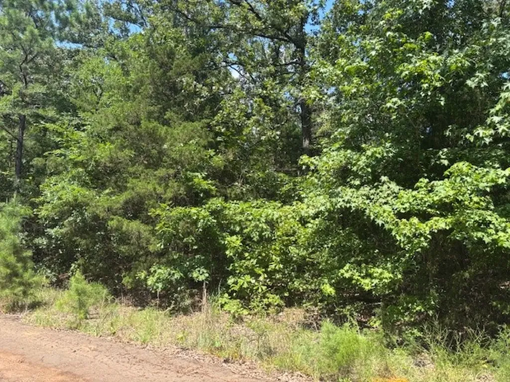 Tbd Croton Lane Mount Vernon TX 75457