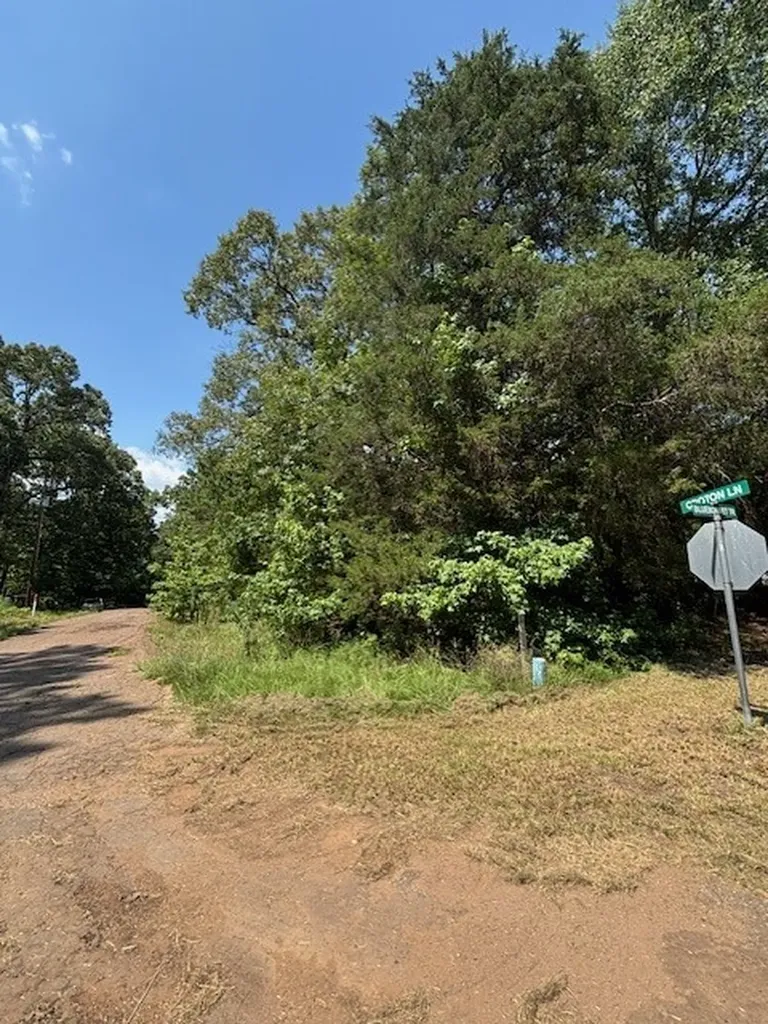 Tbd Croton Lane Mount Vernon TX 75457