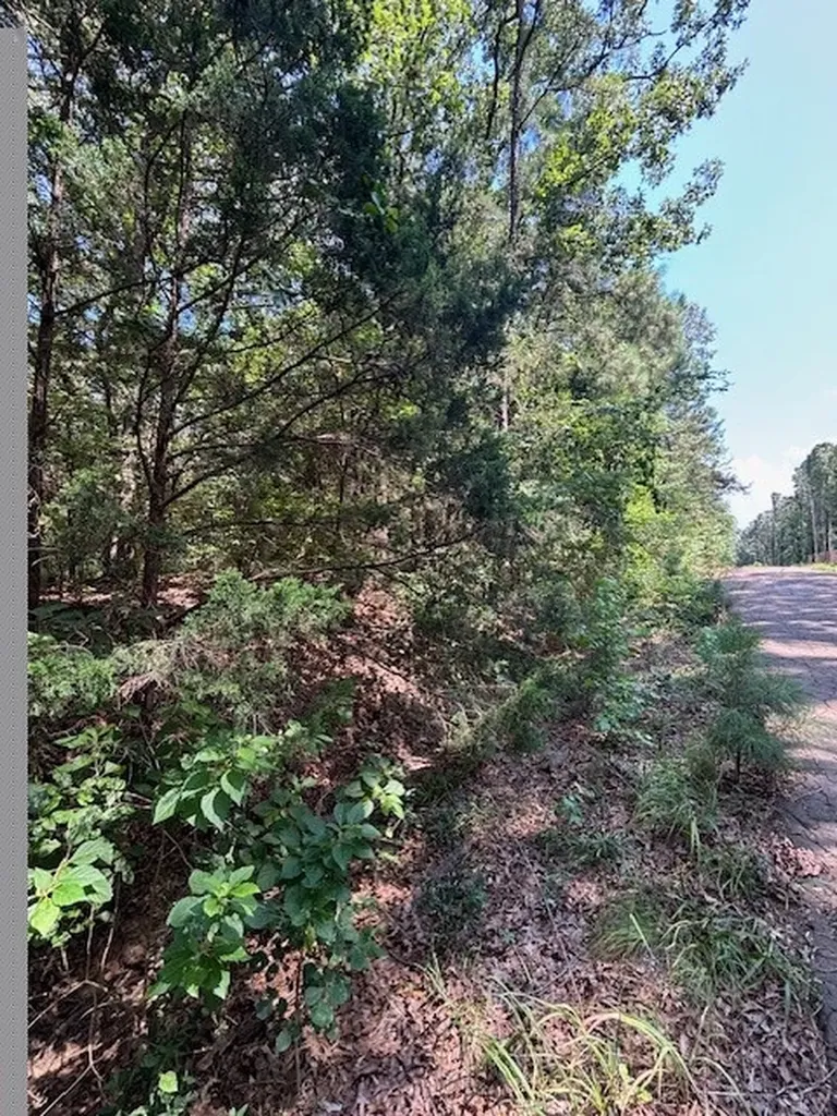 Tbd Croton Lane Mount Vernon TX 75457