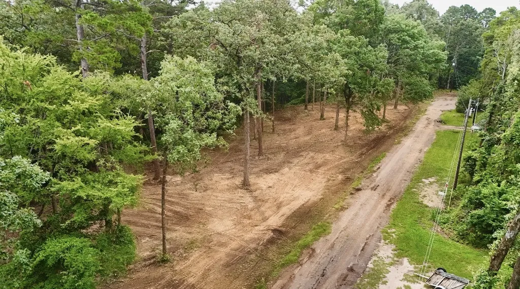 163 Ermine Court Mount Vernon TX 75457