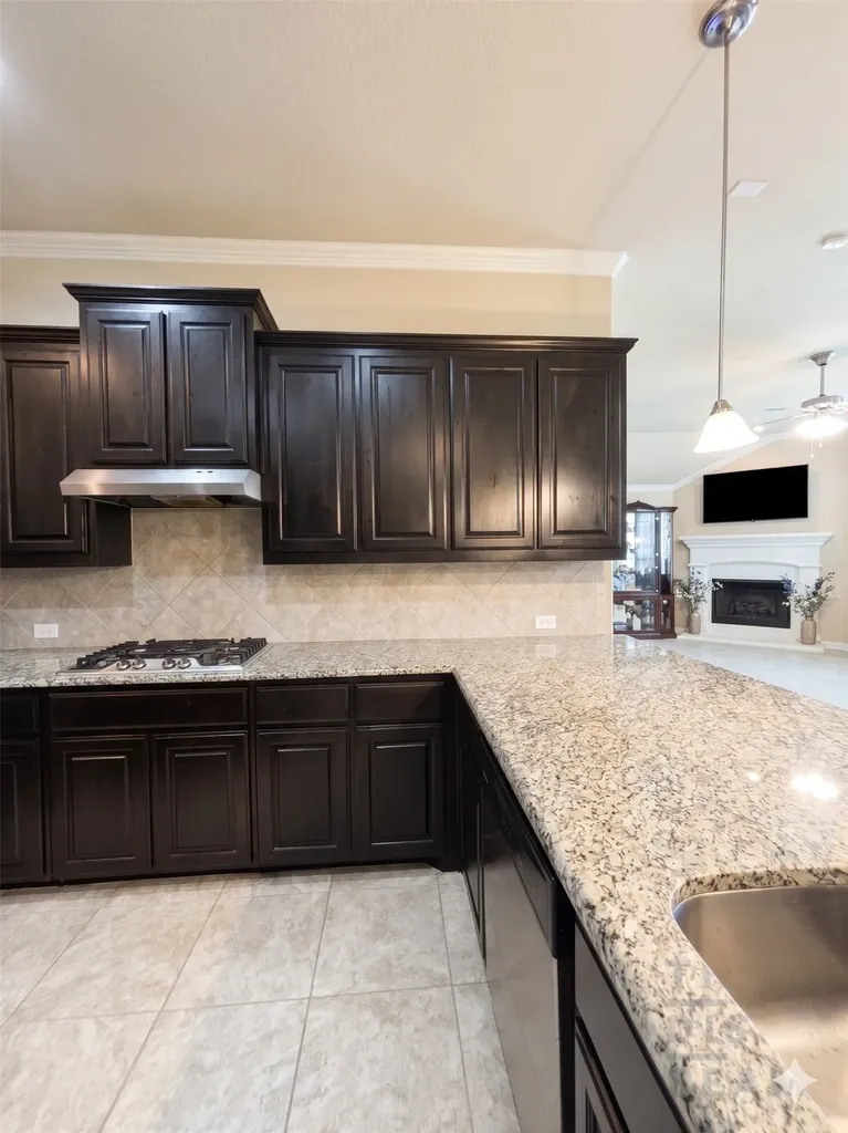2956 Salina Drive Grand Prairie TX 75054