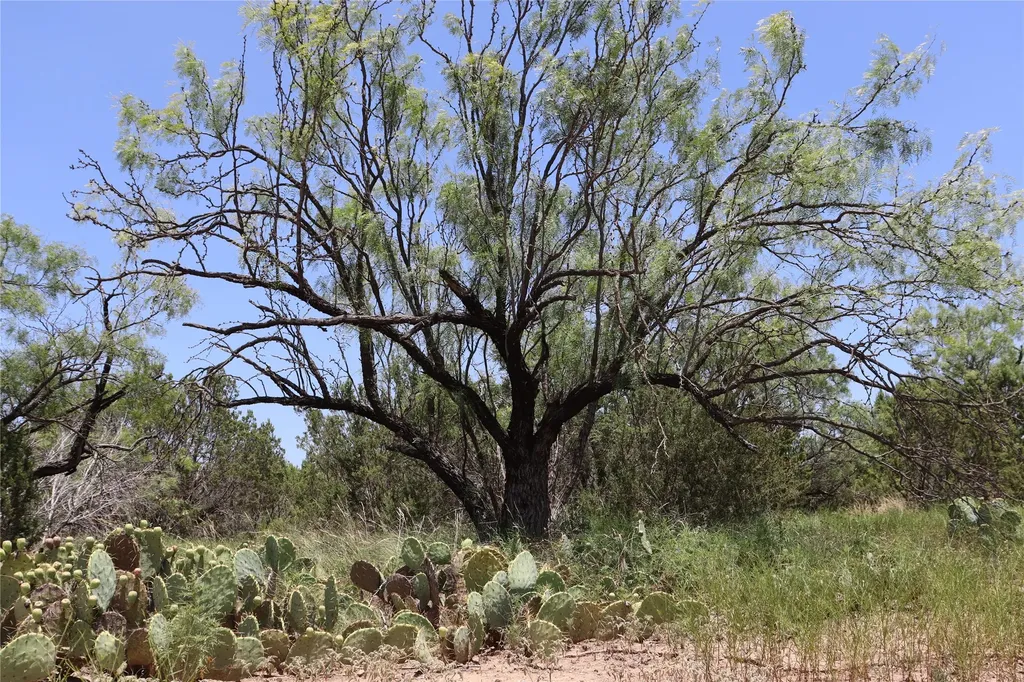 1234 Rr11 Recreational Road 11 Millersview TX 76862