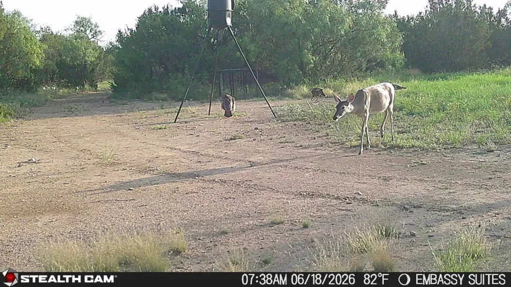 1234 Rr11 Recreational Road 11 Millersview TX 76862