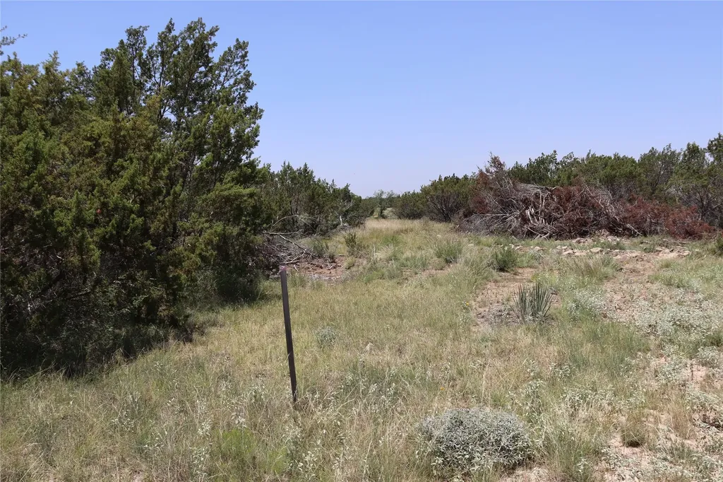 1234 Rr11 Recreational Road 11 Millersview TX 76862