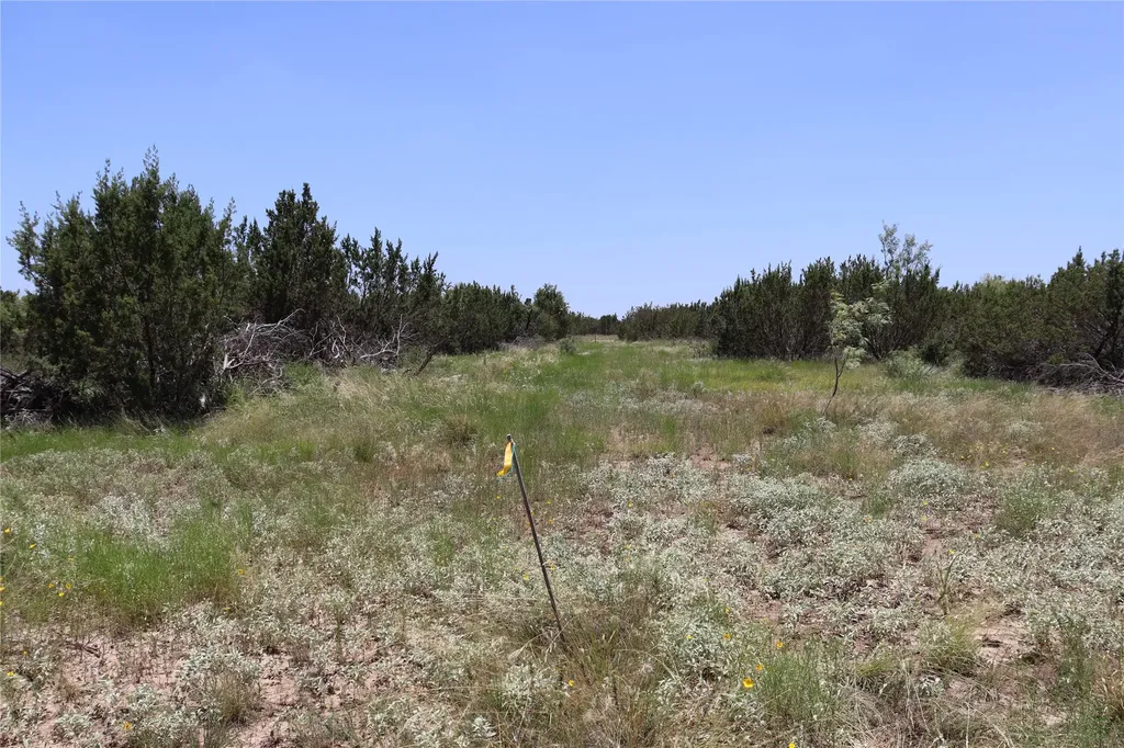 1234 Rr11 Recreational Road 11 Millersview TX 76862